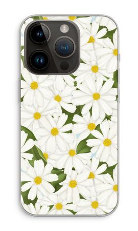 Summer Daisies