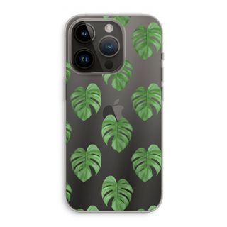 Monstera leaves