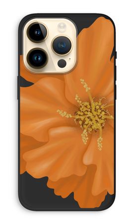 Orange Ellila flower