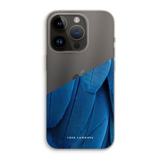 Pfau
