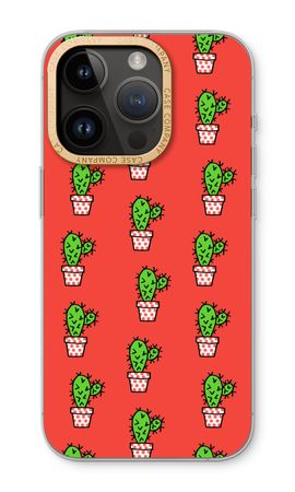 Mini cactus