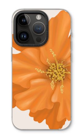 Orange Ellila flower