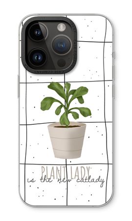 Houseplant on windowpane