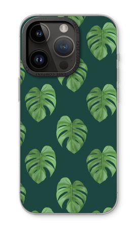 Monstera leaves