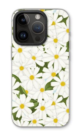 Summer Daisies