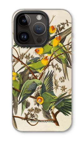 Carolina Parrot