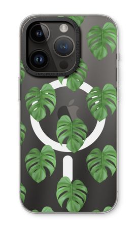 Monstera leaves