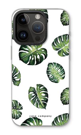 Tropical leaves