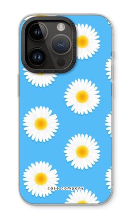 Daisies