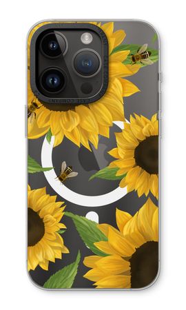 Sunflower and bees