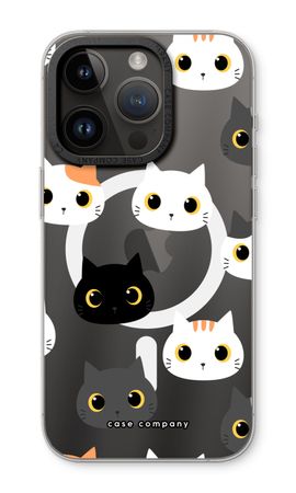 Cats