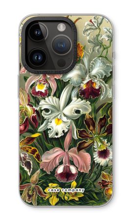 Haeckel Orchidae