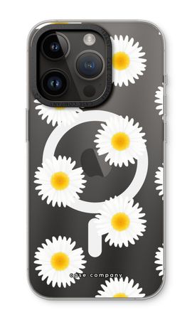 Daisies