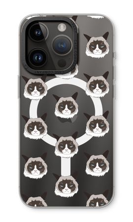 Non Sono Arrabbiato, Sono Solo un Gatto!