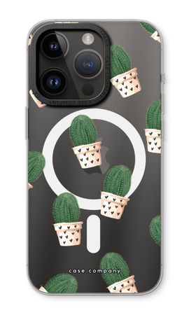 Cactus rose