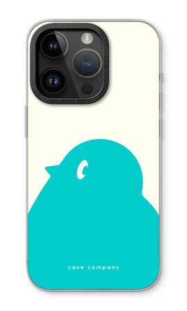 BIG Robin 1