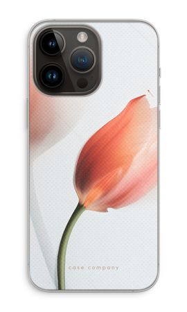 Tulip