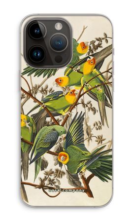 Carolina Parrot