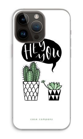 Hey you cactus