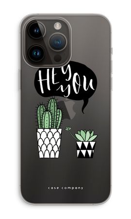 Hey you cactus