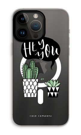 Hey you cactus