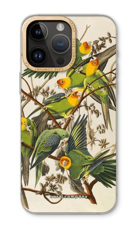 Carolina Parrot