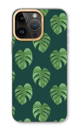 Monstera leaves
