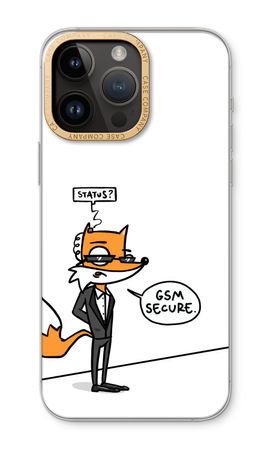 GSM secure