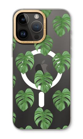 Monstera leaves