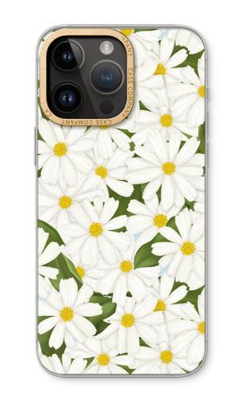 Summer Daisies