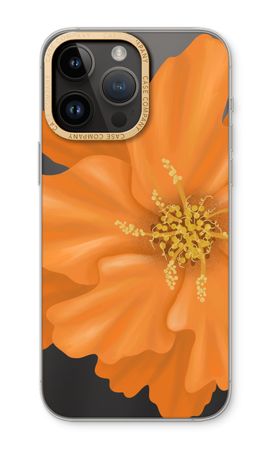 Orange Ellila flower