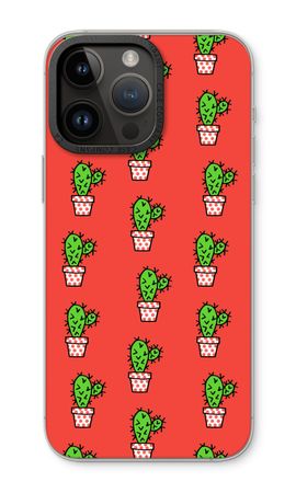 Mini cactus