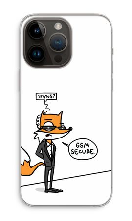 GSM secure
