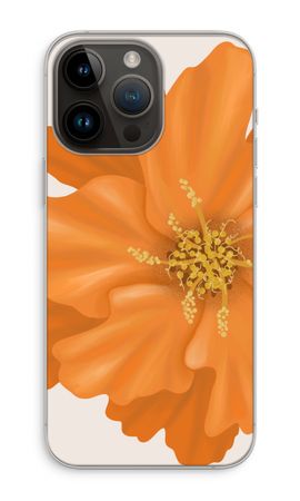 Orange Ellila flower