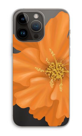 Orange Ellila flower