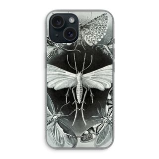 Haeckel Tineida