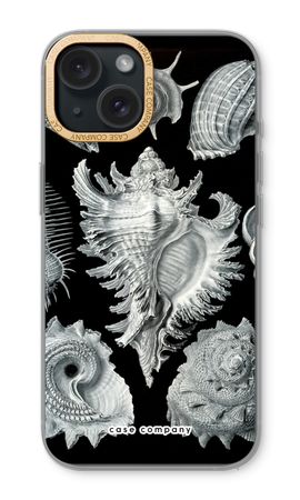 Haeckel Prosobranchia