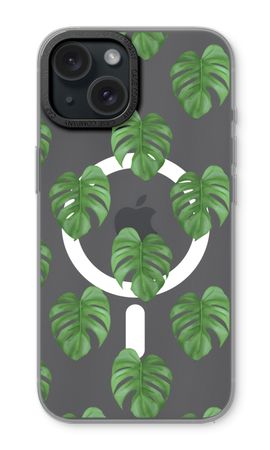 Monstera leaves