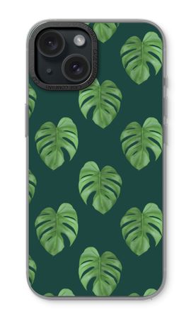 Monstera leaves