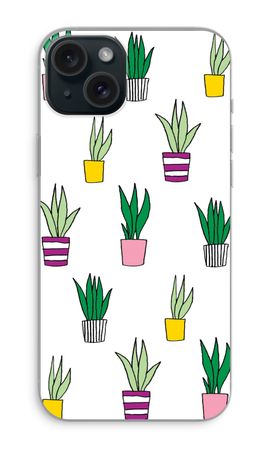 Sanseveria