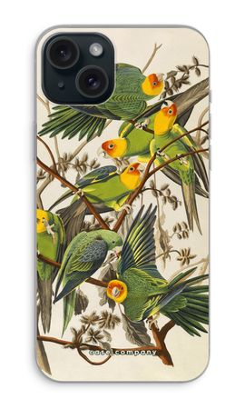 Carolina Parrot