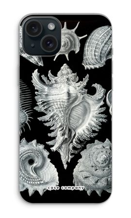 Haeckel Prosobranchia