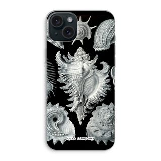 Haeckel Prosobranchia