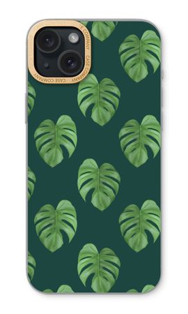 Monstera leaves