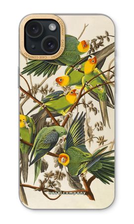 Carolina Parrot