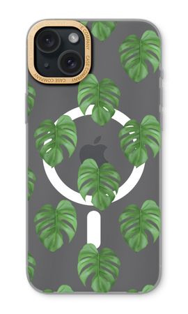 Monstera leaves