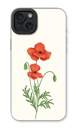 Red poppy