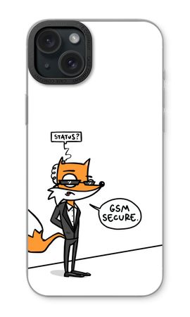 GSM secure