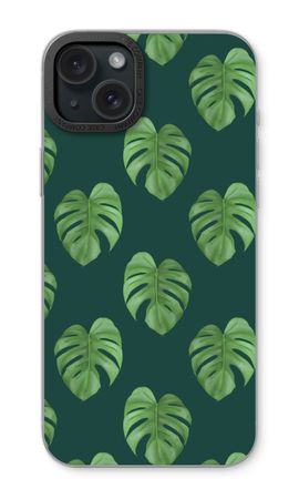 Monstera leaves