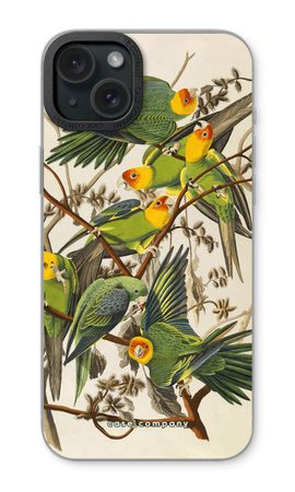 Carolina Parrot